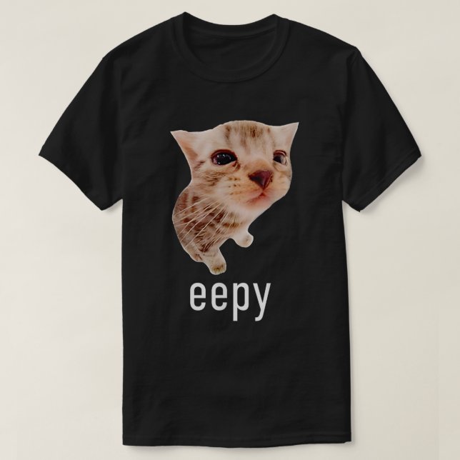 Cute Eepy Cat Sleepy Cats Meme Funny T-Shirt (Design Front)