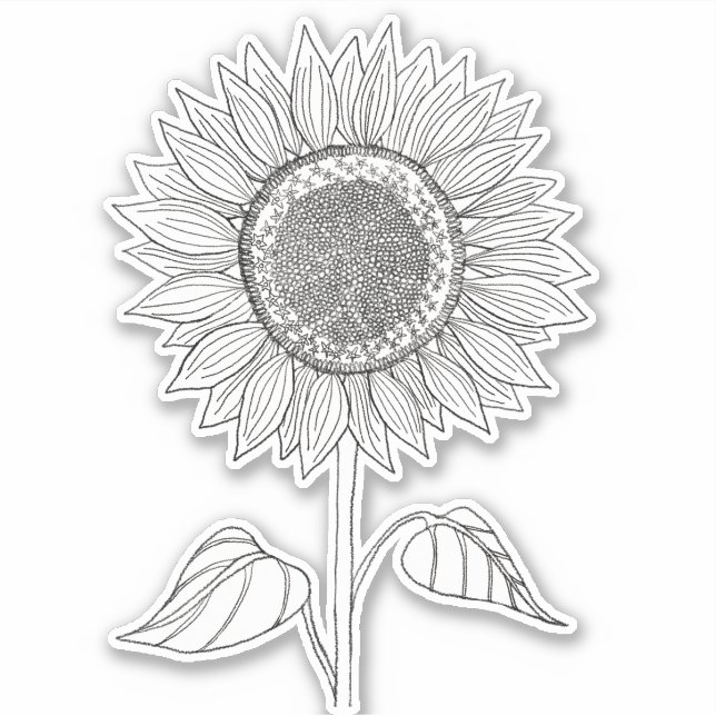 Cute Elegant Boho Black and White Pencil Sunflower (Front)