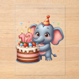 Cute Elephant 12th Birthday Acrylic Invitations