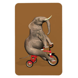 Cute Elephant Riding A Tricycle Magnet