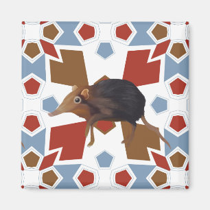 Cute Elephant Shrew Fun Colourful Pattern Magnet