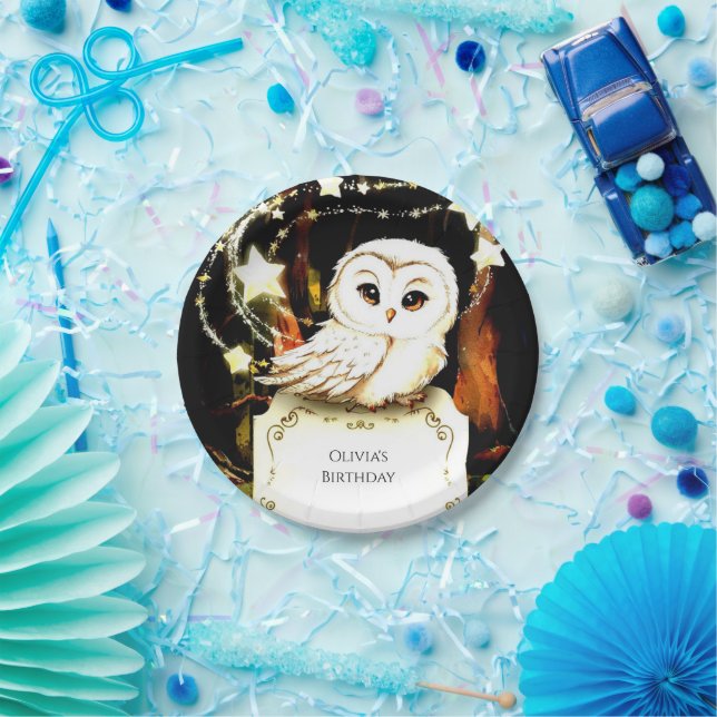 Cute Enchanted Owl Birthday Paper Plate (Party)