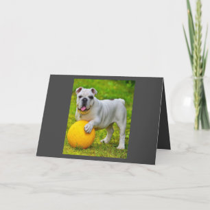 Cute English Bulldog Basketball Bulldog Lover Gift Holiday Card