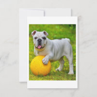 Cute English Bulldog Basketball Bulldog Lover Gift