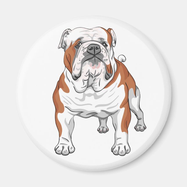 Cute English Bulldog Lover Bully Cartoon Puppy Dog Magnet (Front)