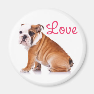 Cute English Bulldog Lover Funny Puppy Dog Magnet