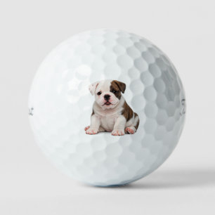 Cute English Bulldog Puppy Golf Balls