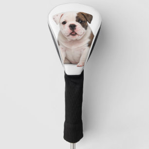 Cute English Bulldog Puppy Golf Head Cover