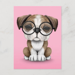 Cute English Bulldog Puppy Wearing Glasses Pink Postcard