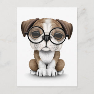 Cute English Bulldog Puppy Wearing Glasses White Postcard
