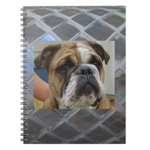 Cute English Bulldog Spiral School Notebook
