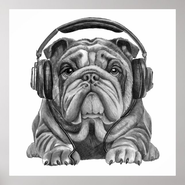 Cute english bulldog with headphones poster (Front)