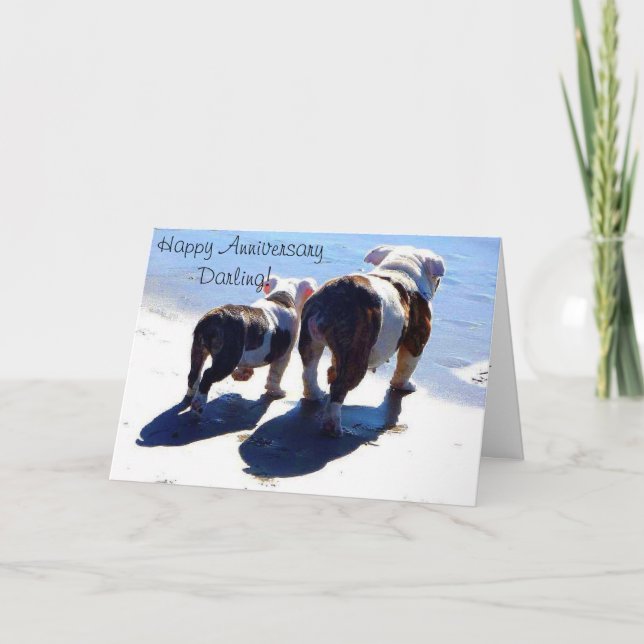 Cute English Bulldogs Happy Anniversary Card (Front)