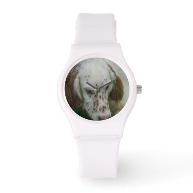 Cute English Setter Watch (Front)