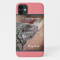 Cute Exotic Reptile Iguana Pet Animal