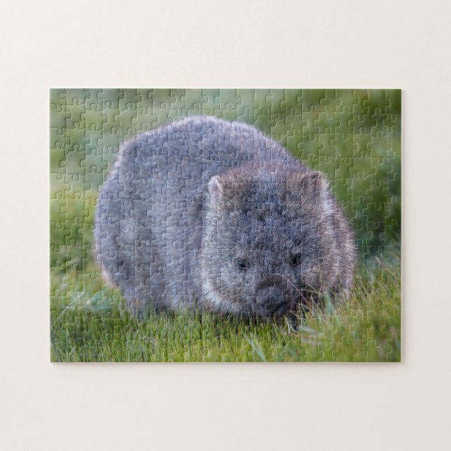 Cute Exotic Wombat Animal Wildlife, 252 pieces Jigsaw Puzzle (Horizontal)