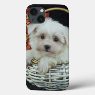 Cute Fall Puppy iPhone 13 Case