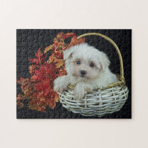 Cute Fall Puppy Jigsaw Puzzle