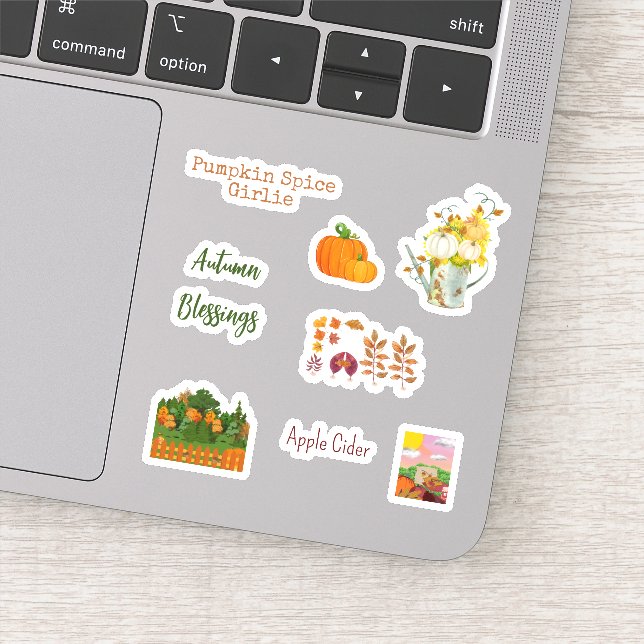 Cute Fall Season Vinyl Stickers (Detail)