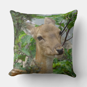 Cute Fallow Deer Close Up Throw Pillow