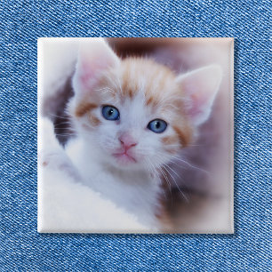 Cute Family Cat Square Photo 15 Cm Square Badge