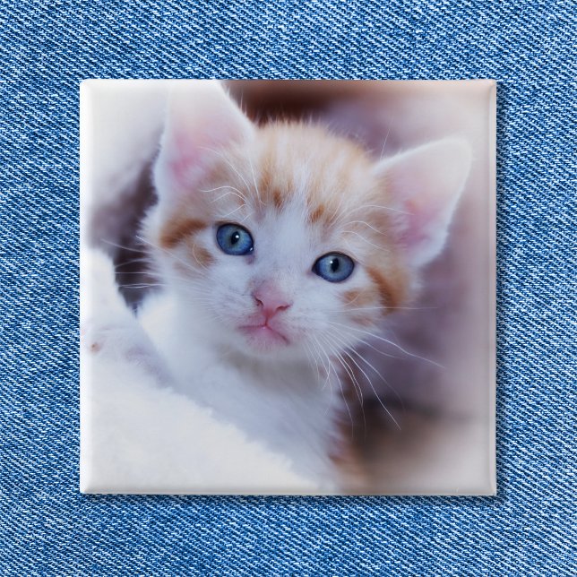 Cute Family Cat Square Photo 15 Cm Square Badge (Cute Family Cat Square Photo Button)