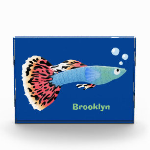 Cute fancy guppy tropical fish cartoon photo block