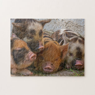 Cute Farm Animal Piglets Jigsaw Puzzle