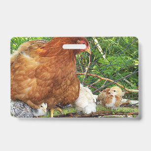 cute, farm, animals, kids, farm animals, pet, ID badge