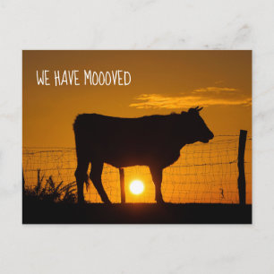 Cute Farm Change of Address We Have Mooved Moving Postcard