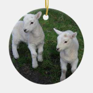 Cute Farm Ranch Baby Twins Sheep Lamb Ceramic Ornament