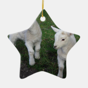 Cute Farm Ranch Baby Twins Sheep Lamb Ceramic Ornament