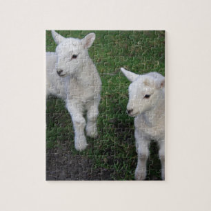 Cute Farm Ranch Baby Twins Sheep Lamb Jigsaw Puzzle