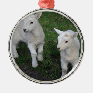 Cute Farm Ranch Baby Twins Sheep Lamb Metal Ornament