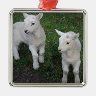 Cute Farm Ranch Baby Twins Sheep Lamb Metal Ornament