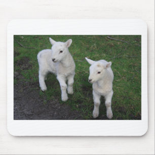 Cute Farm Ranch Baby Twins Sheep Lamb Mouse Pad