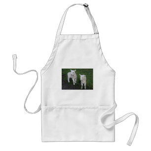Cute Farm Ranch Baby Twins Sheep Lamb Standard Apron