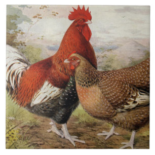 Cute farmhouse rooster hen decor ceramic tile