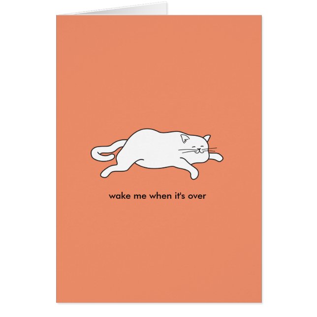 cute fat cat on a card (Front)