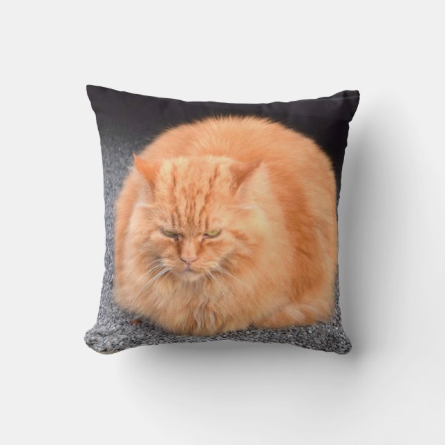 Cute Fat Cat Yellow Colour Cushion (Front)