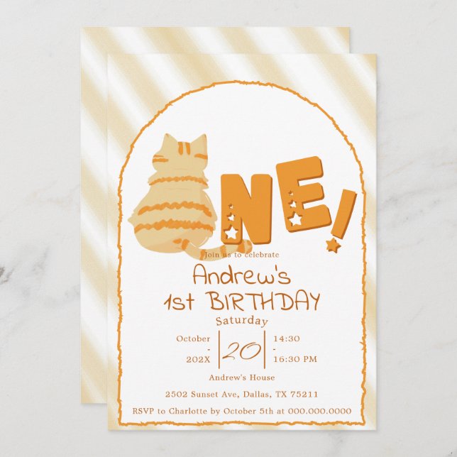 Cute Fat Orange Cat 1st Birthday Invitation (Front/Back)