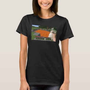 Cute Fat Rat Being Grabbed Meme T-Shirt