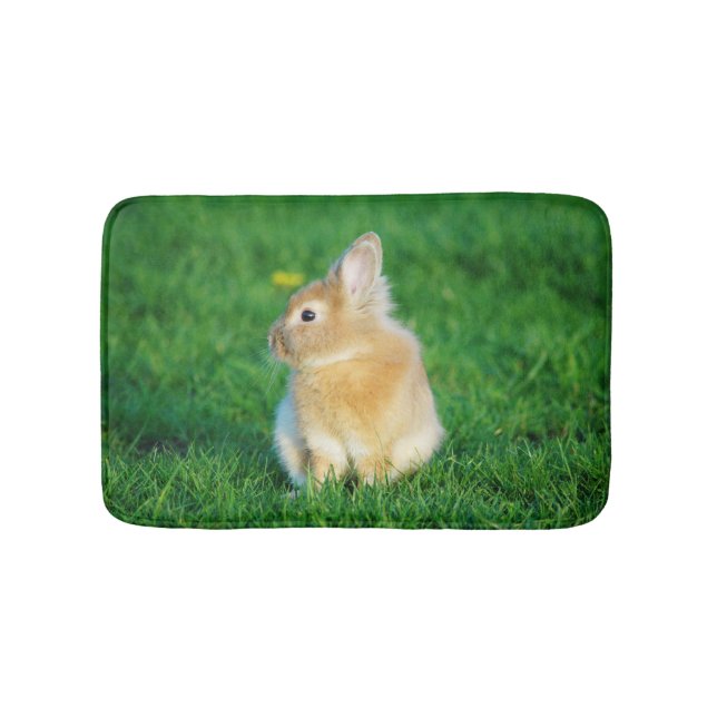 Cute Fawn Bunny Sitting in Grass Bath Mat (Front)