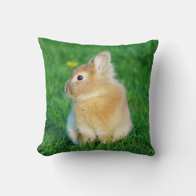 Cute Fawn Bunny Sitting in Grass Cushion (Front)