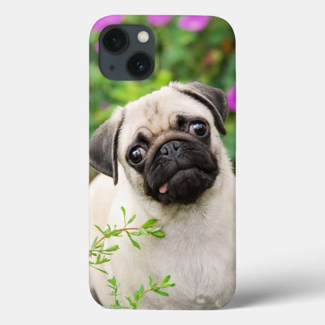 Cute Fawn Coloured Pug Puppy Dog Face Pet Photo - Case-Mate iPhone Case (Back)