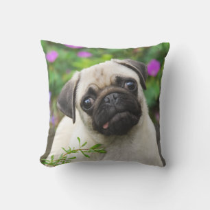 Cute Fawn Coloured Pug Puppy Dog Face Pet Photo - Cushion
