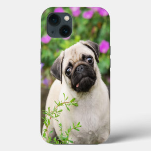 Cute Fawn Coloured Pug Puppy Dog Face Pet Photo - iPhone 13 Case