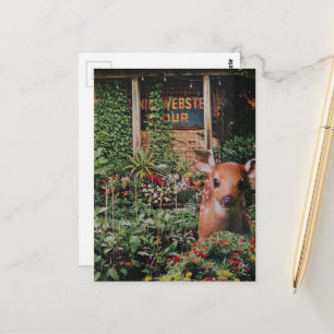 Cute Fawn in the Garden Collage Postcard