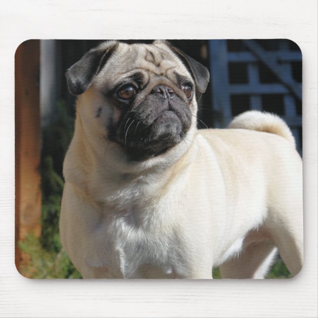 Cute Fawn Pug Mousepad (Front)