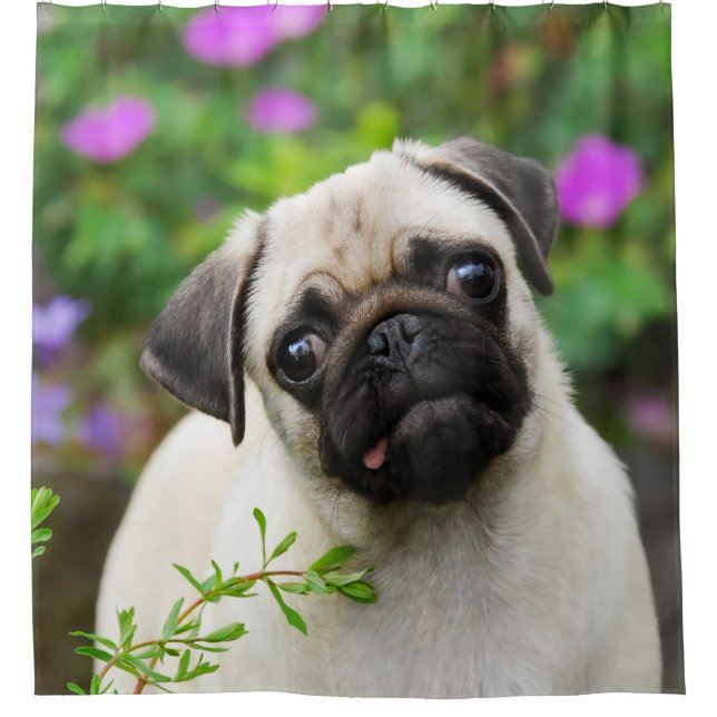 Cute fawn pug puppy, bathroom Tub Shower Curtain (Front)